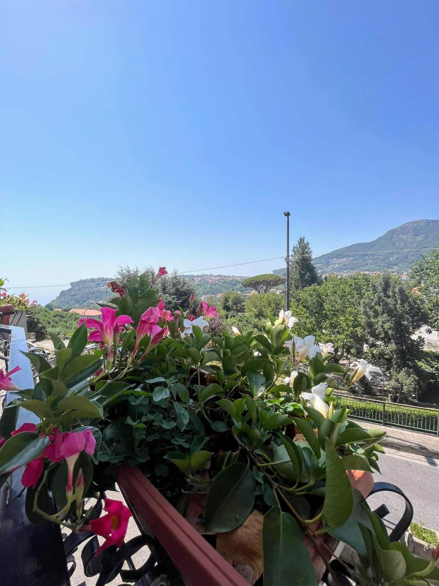مبيت وإفطار أَجيرولا Il Borgo الغرفة الصورة